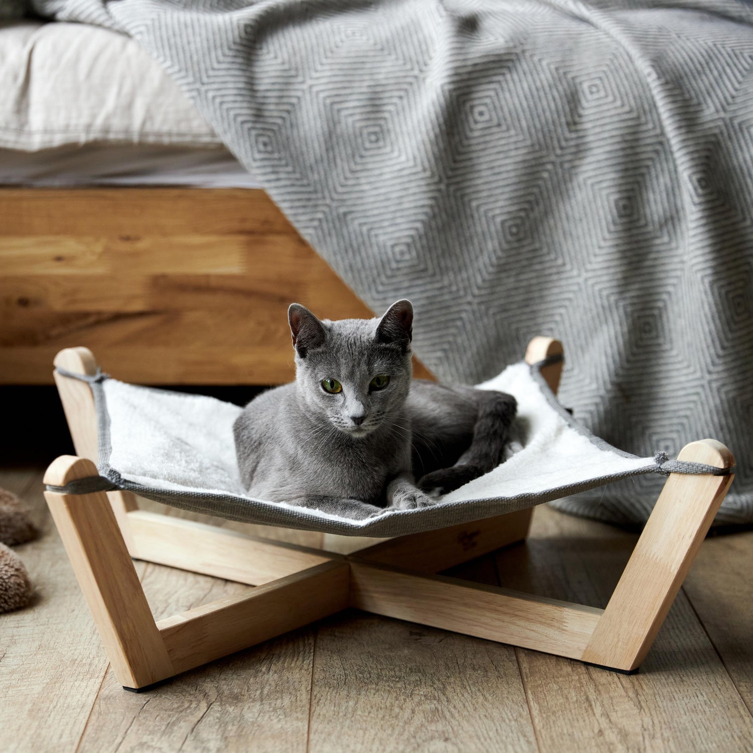 Pet-Friendly Home: Stylish Decor and Essential Products