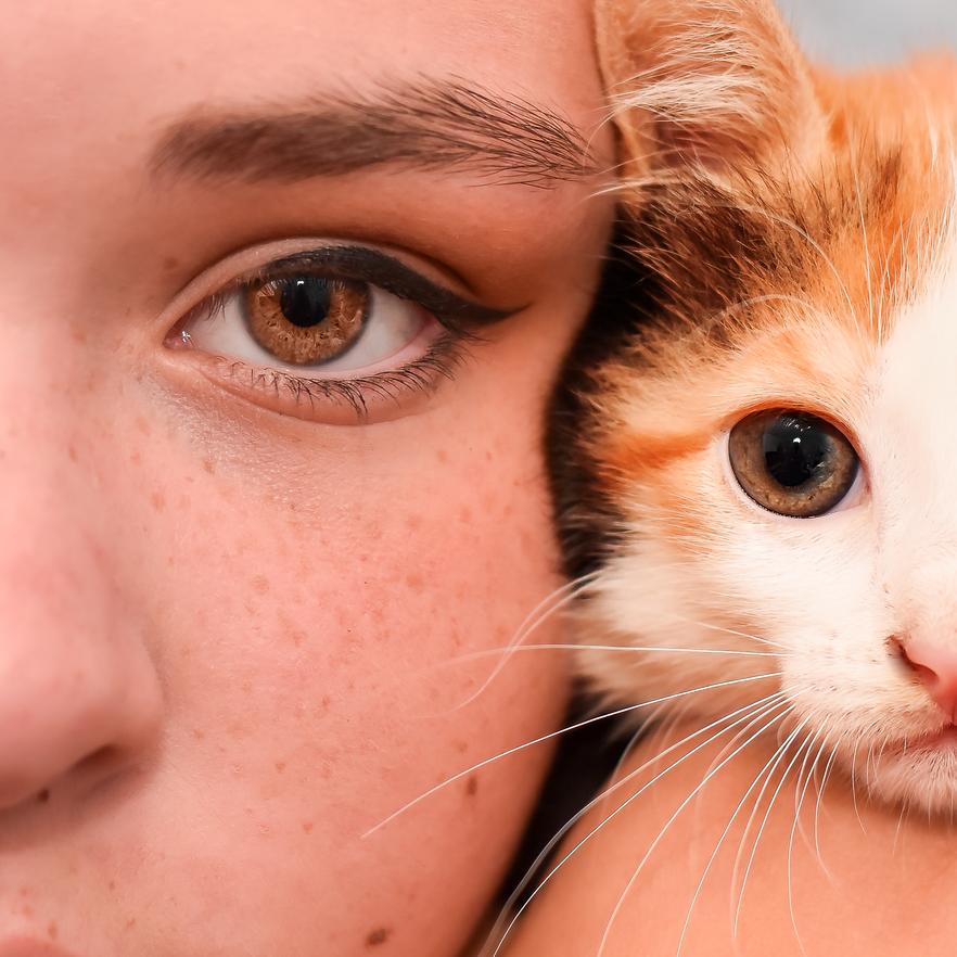 Ginger Cat Mysteries: The World of Ginger-Colored Eyes