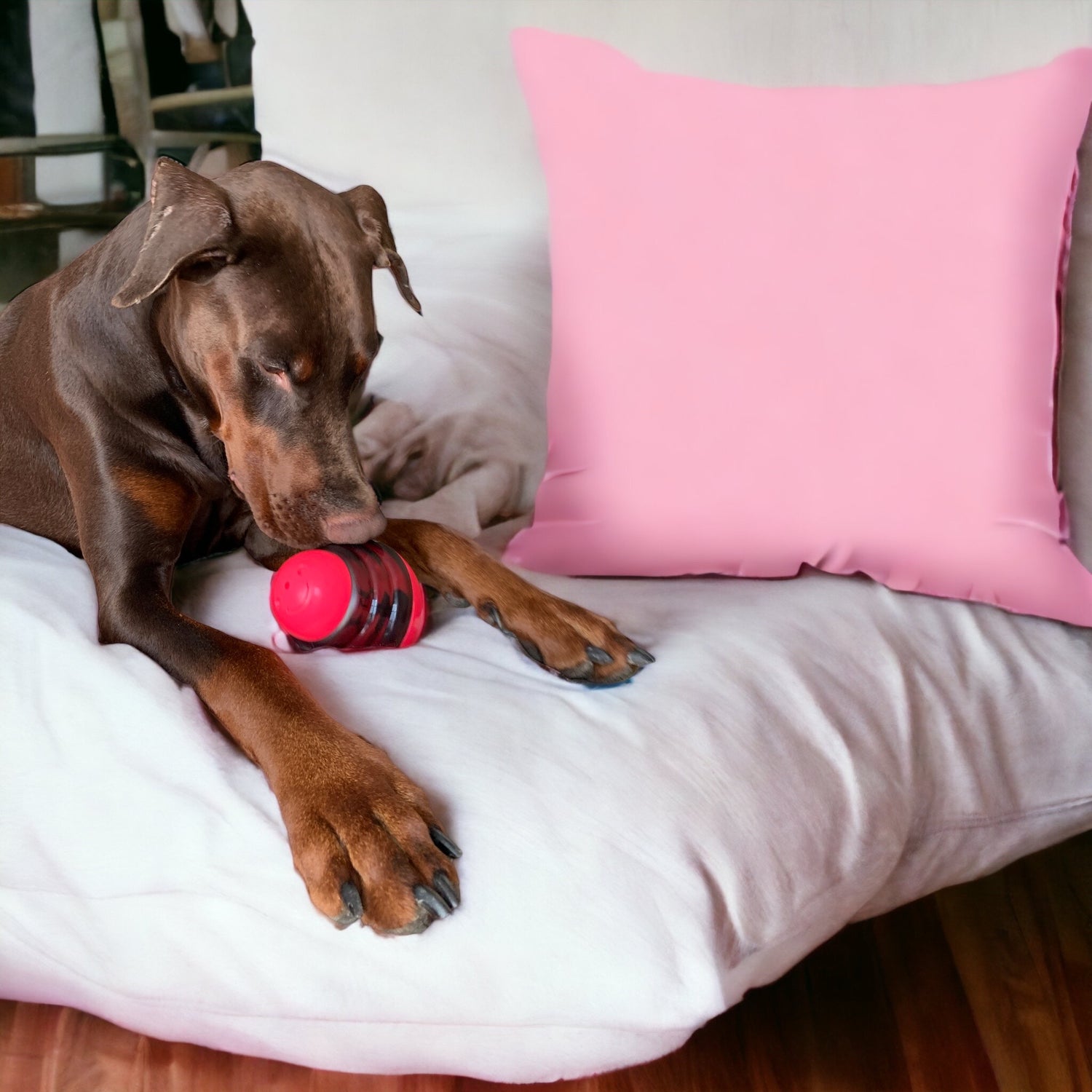 Beyond Fun: The Vital Role of Toys in Your Pet's Well-Being